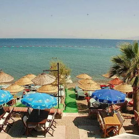 Summer Sun Beach 4* 奥塔肯特