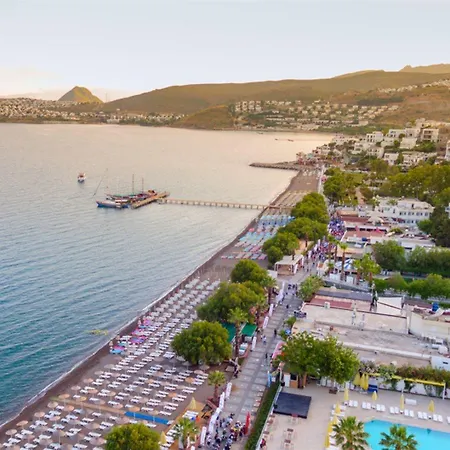 Summer Sun Beach