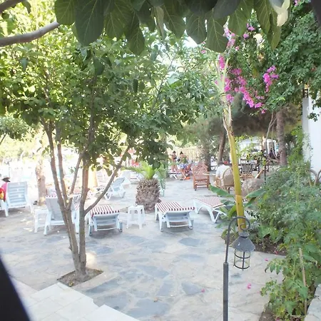 Summer Sun Beach 4*