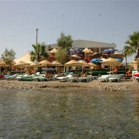 Summer Sun Beach