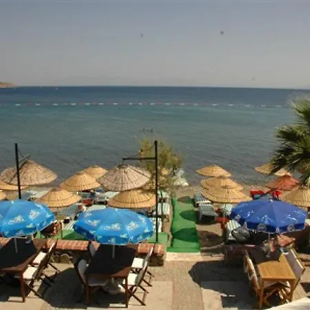 Summer Sun Beach