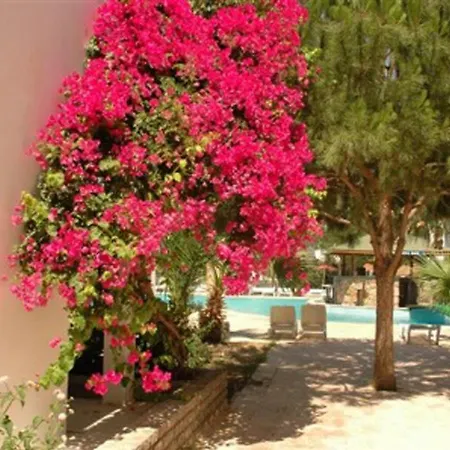 Hotel Summer Sun Beach 4*